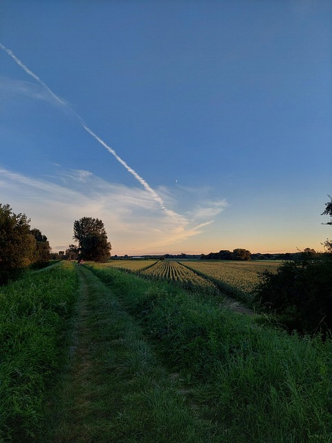 Free Landscape Road photo and picture