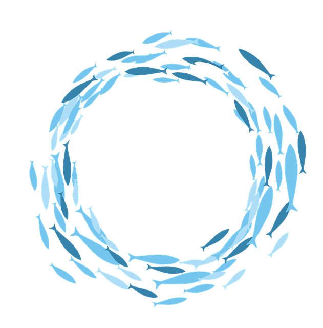 Free fish sardines blue nature illustration