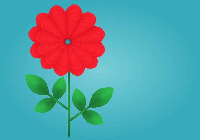 Blume, Rote Blume, Blumentapete, Natur