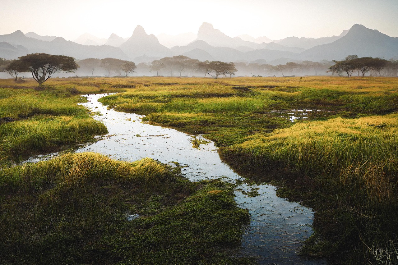 Vista - free online jigsaw puzzle photo