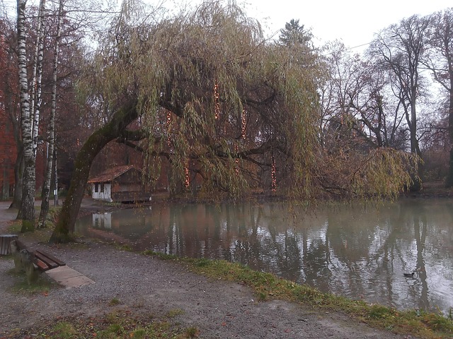 Free Pond Nature photo and picture