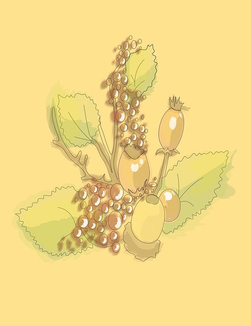 Free Yellow Berries Autumn vector and picture