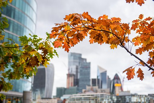 Otoño, Ciudad, Londres, Inglaterra