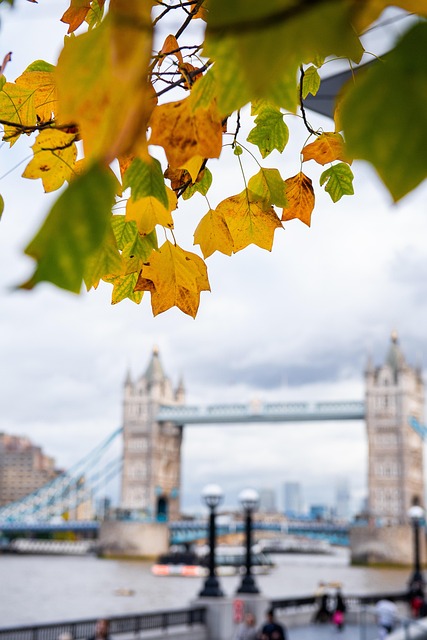 Otoño, Puente, Londres, Inglaterra