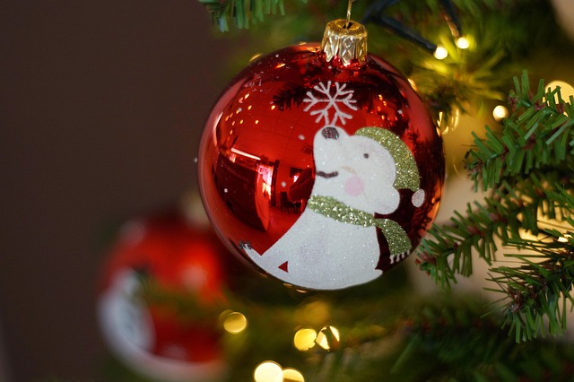 Free Christmas Christmas Tree photo and picture