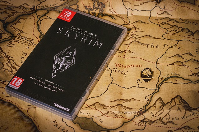 Nintendo, Kontakt, Skyrim, Spil, Spiller