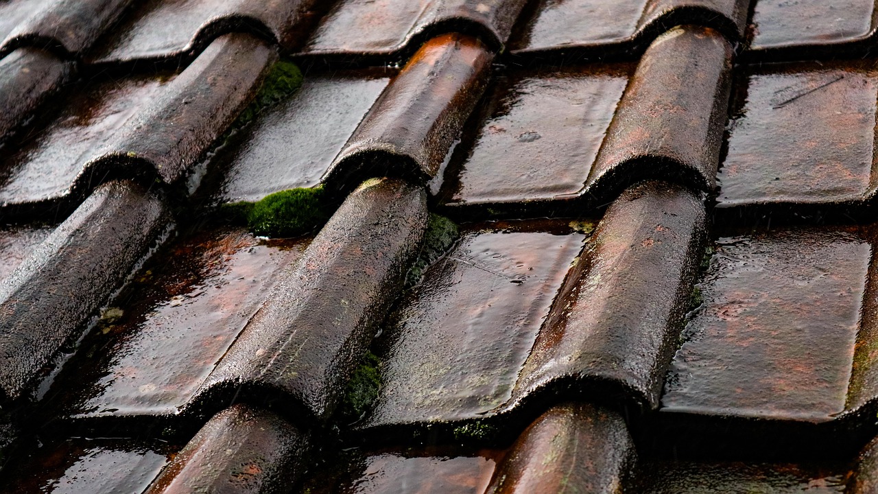 Rain Roof Tiles Free photo on Pixabay Pixabay