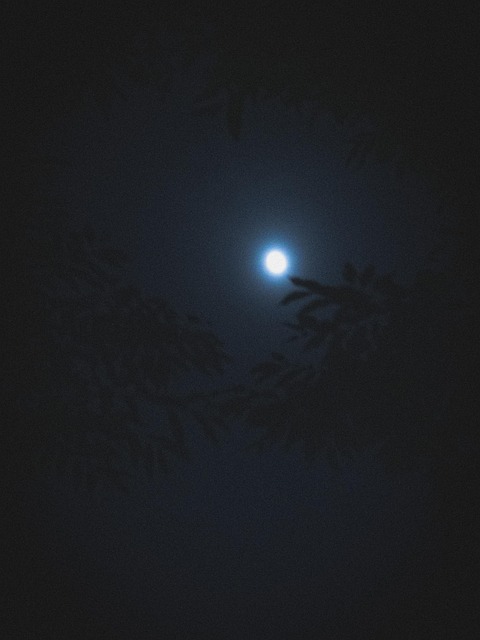 Free Moon Vacuity photo and picture