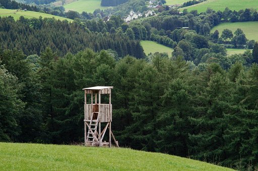 Free Hunting Tower Forest photo and picture