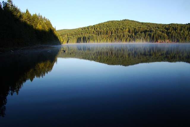 Free Amor Lake Lake photo and picture