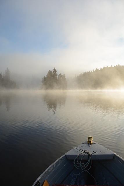 Free Foggy Lake photo and picture