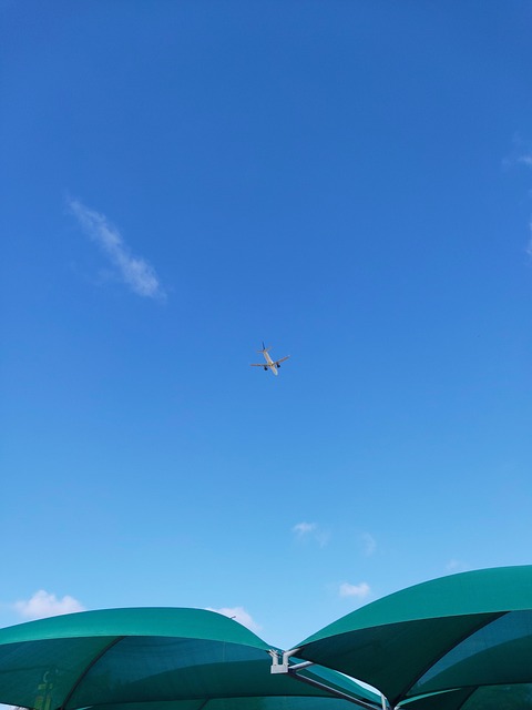 Free Aeroflot Sky photo and picture