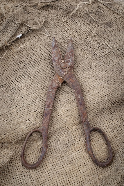 Tijeras, Oxidado, Metal, Viejo, Vintage