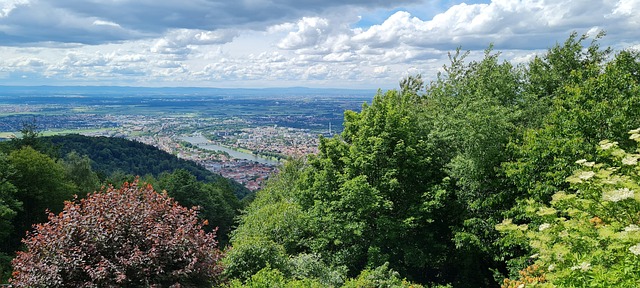 Free Heidelberg Historical photo and picture