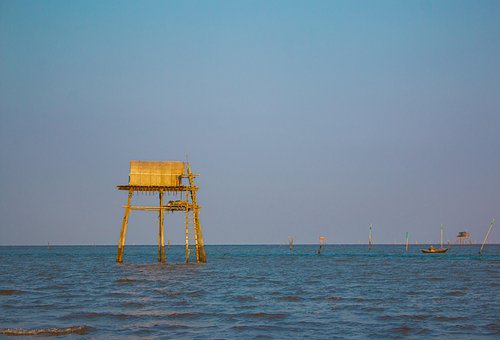 Free Vietnam Fishing photo and picture