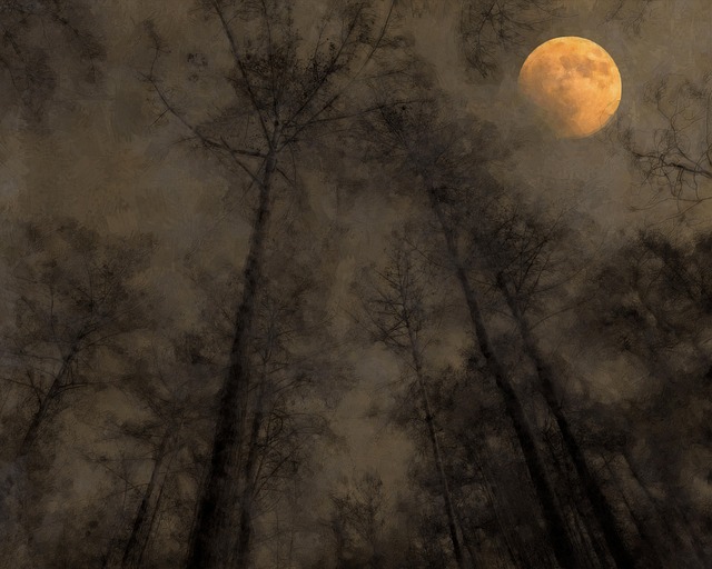 Free moon autumn evening illustration