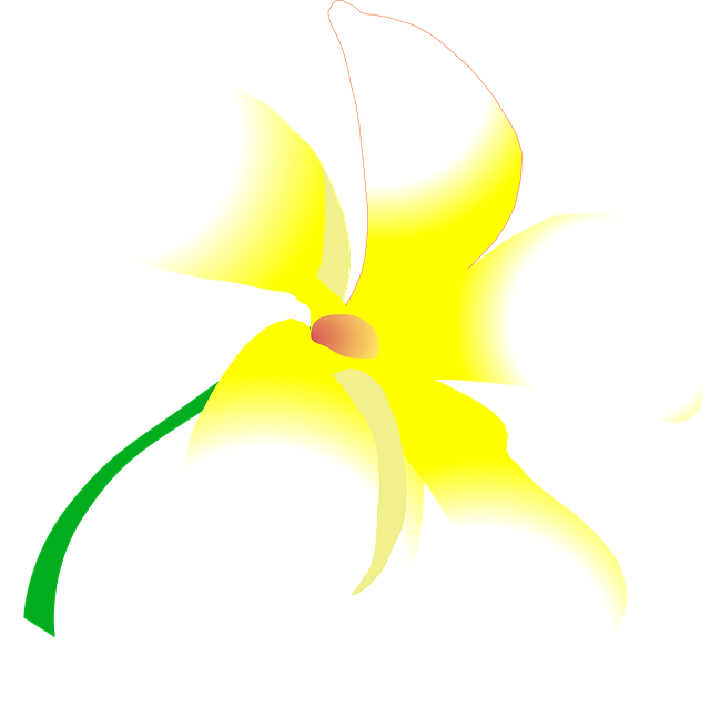 Free flower blossom beautiful flowers illustration