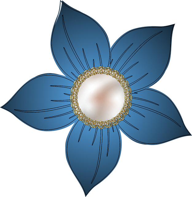 Download free HD stock image of Star Nature Free star nature flower illustration