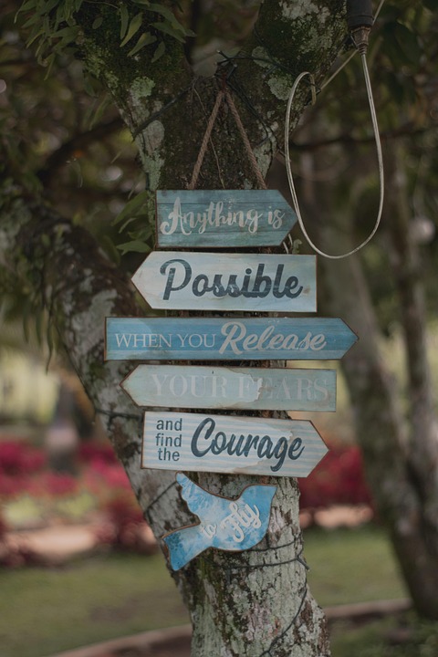 Postive Sign Images Quote Positive Sign - Free photo on Pixabay - Pixabay
