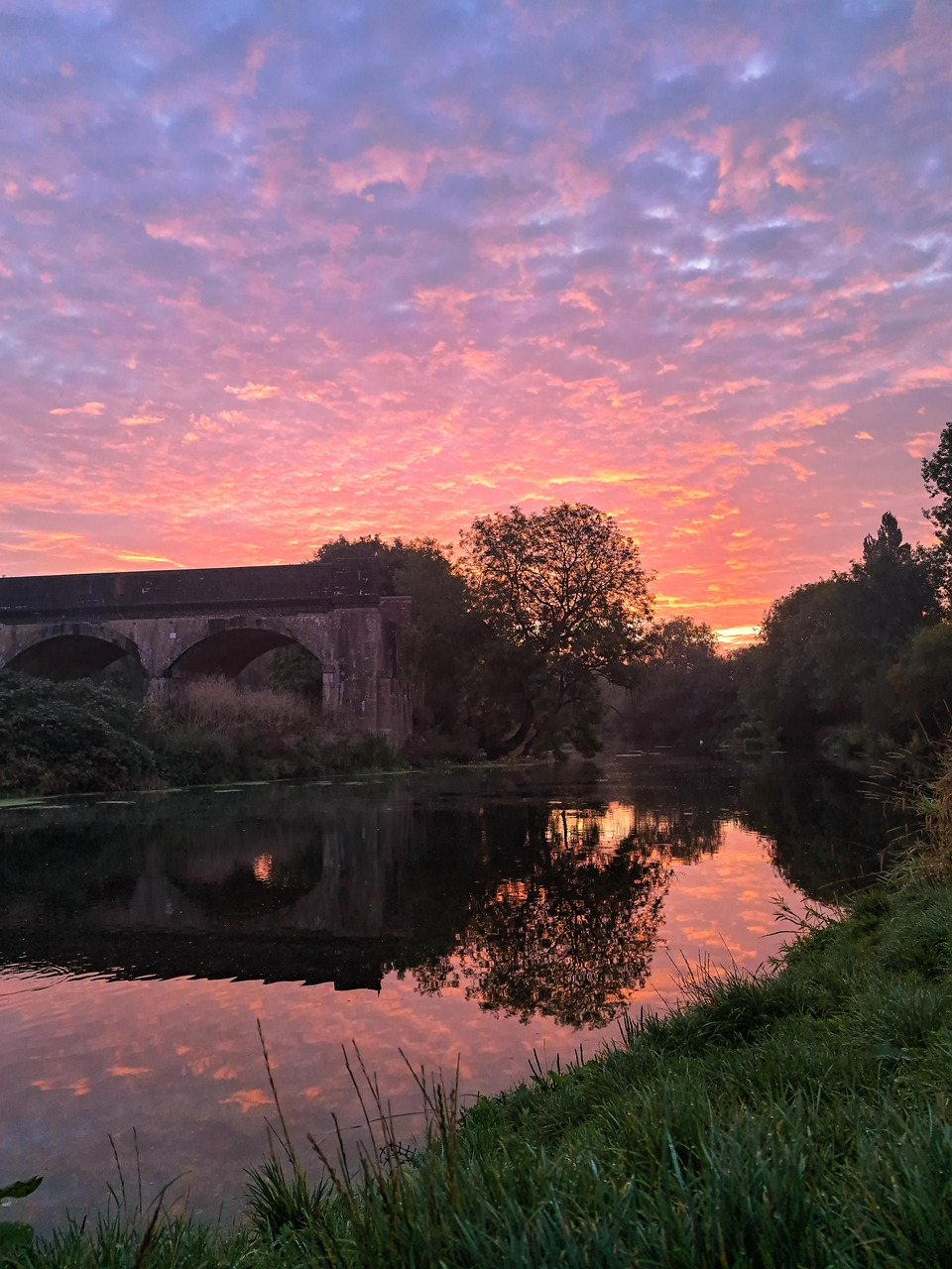 Dorset River Nature - Free photo on Pixabay - Pixabay