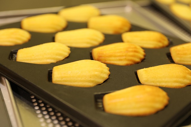 Free Lemon Madeleine Snack photo and picture