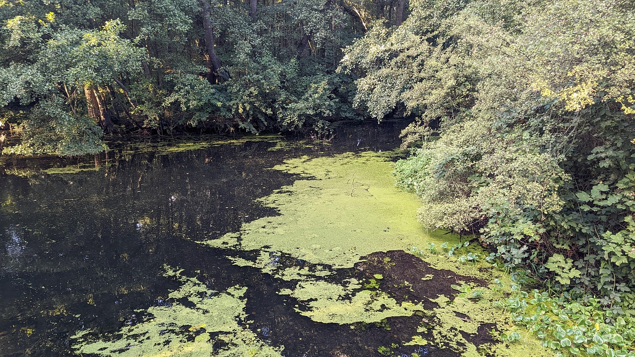 Water Nature Landscape - Free photo on Pixabay - Pixabay