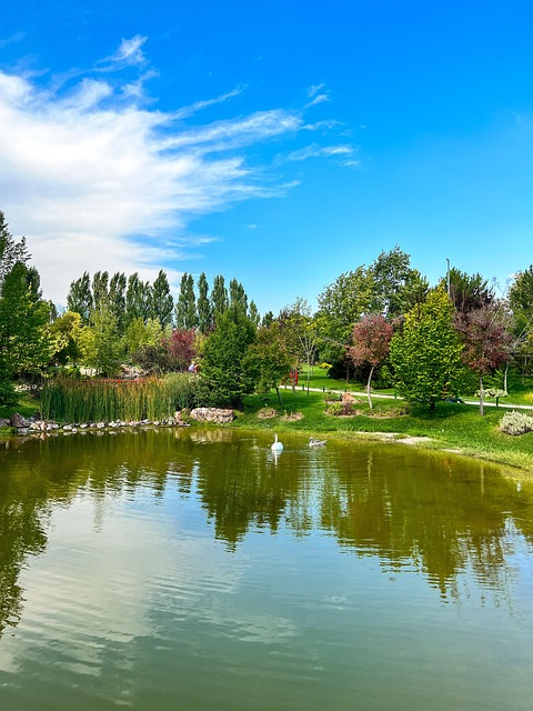 Free View Nature photo and picture