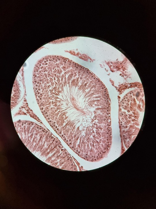 Reproductive Endocrinology and Infertility Fellowship Programs Assessment - News Directory 3