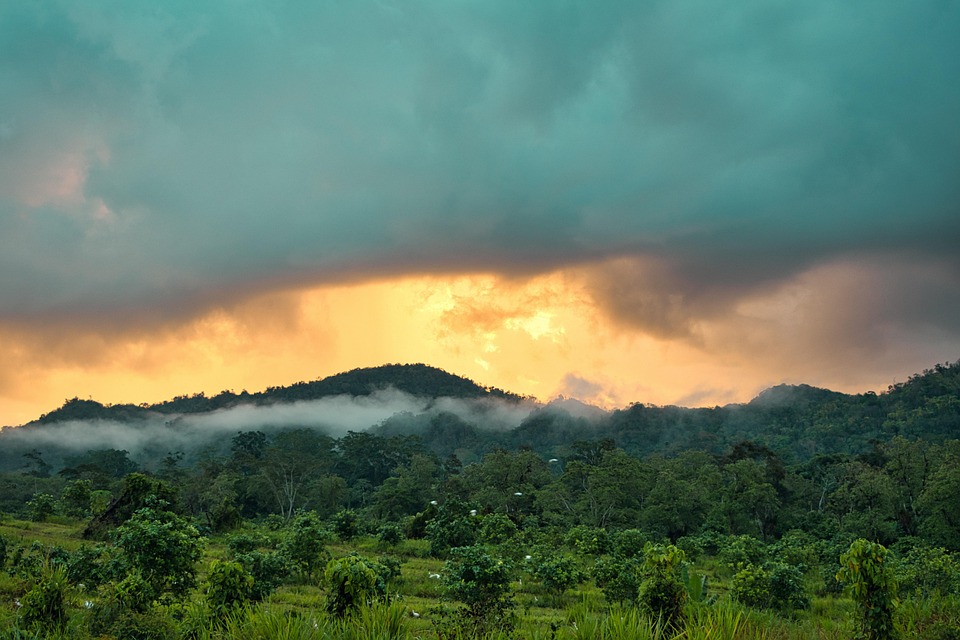 Biize Landscape Belize Nature - Free photo on Pixabay
