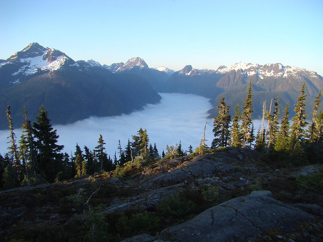 Free Valley Fog Foggy Sunrise photo and picture