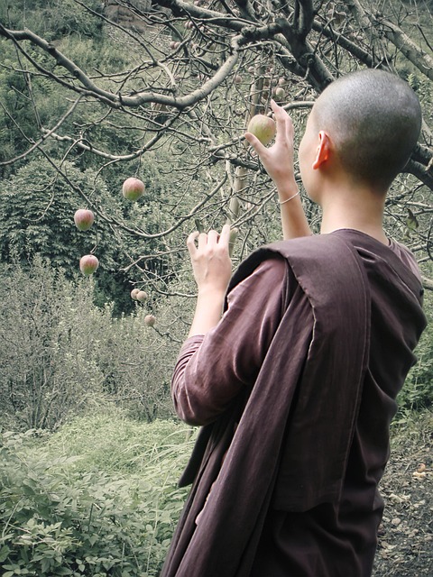 Free Buddhist Nun photo and picture