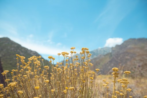 Free Mountain Mountain Peak photo and picture