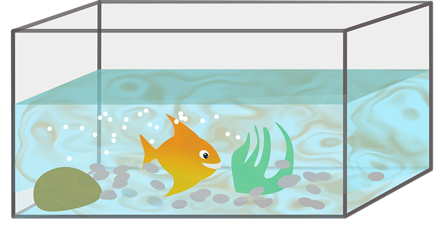 Free fish aquarium drawing illustration
