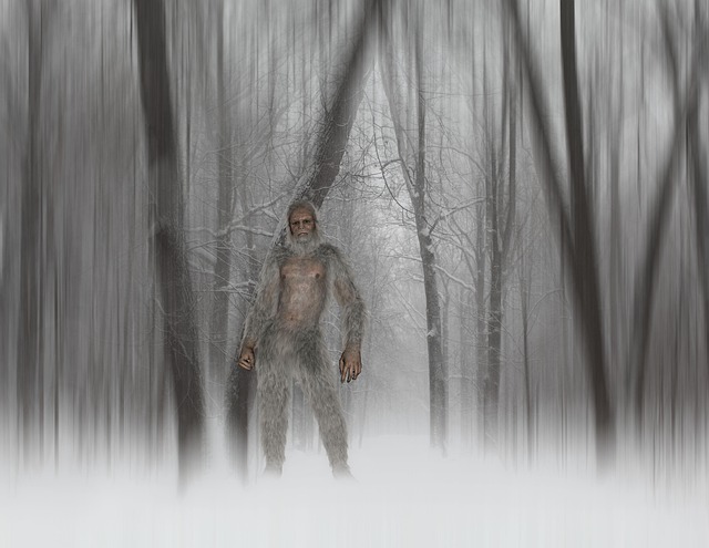 Free man winter forest illustration