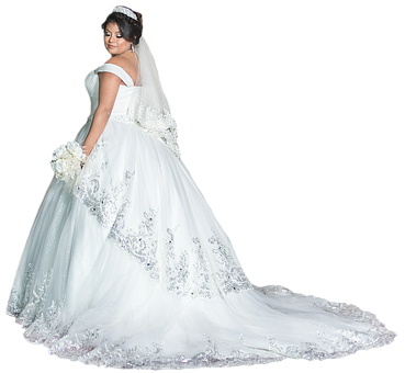Free Bride White Gown illustration and picture