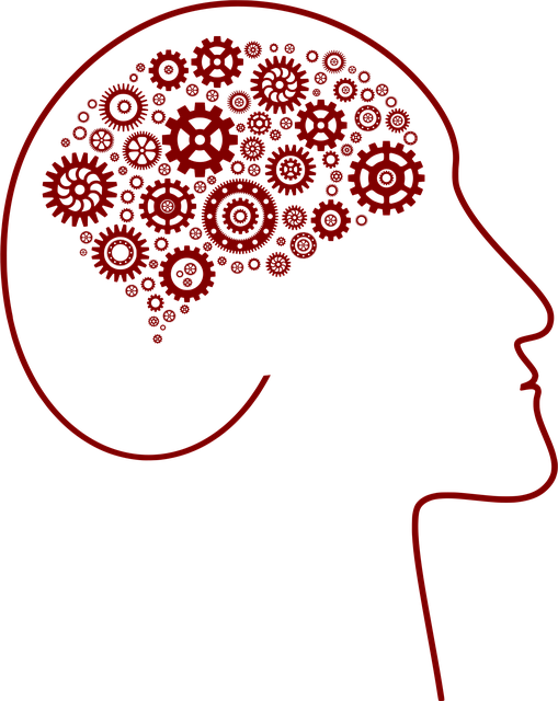 Free brain consciousness diversity vector