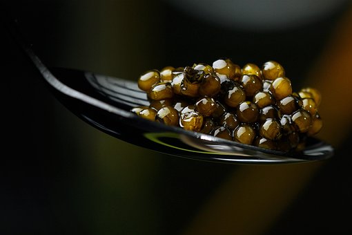 Free Black Caviar Delicacy photo and picture