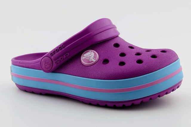 Free Slippers Slipper photo and picture