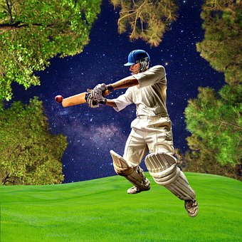 Free Cricket Bat photo and picture