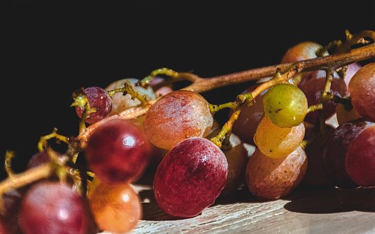 Uvas, Viñedo, Maduro, Fruta, Jugoso