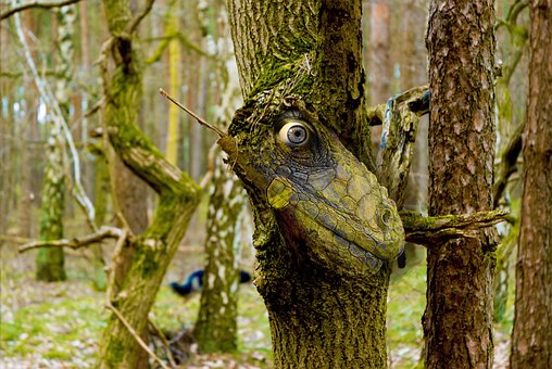 Free Alien Ufo photo and picture