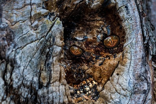 Free Alien Monster photo and picture