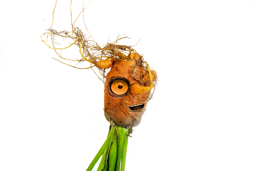 Free Carrot Alien illustration and picture