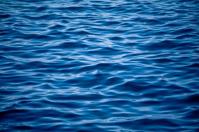 Free Water Wave photo and picture