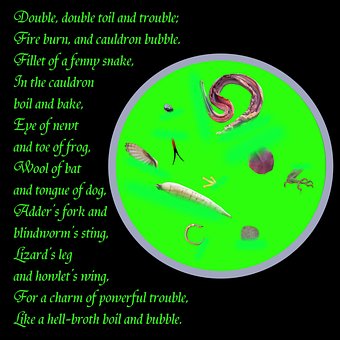 Free Witch Fantasy photo and picture