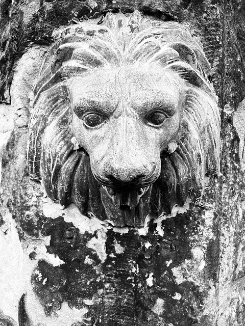 Løve, Vand Springvand, Skulptur, Styrke