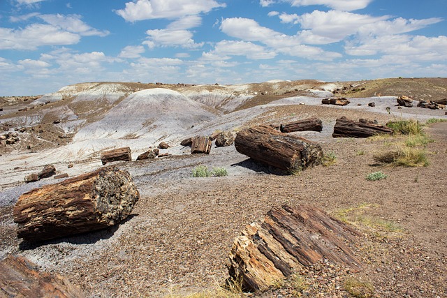Free Desert Painted Desert photo and picture