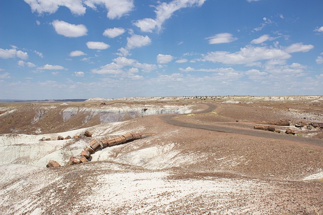 Free Desert Painted Desert photo and picture