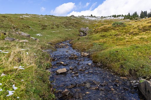 Free Stream Creek photo and picture