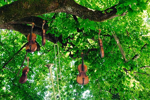 Free Musical Instruments Violins photo and picture